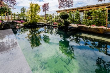 Werbeaufnahmen im Gartenbau